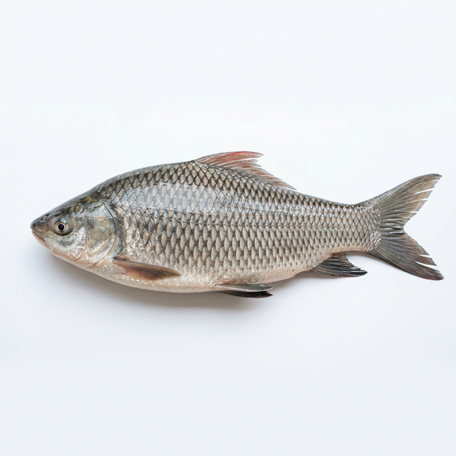 Fresh River Fish (Ruhi) - 1kg